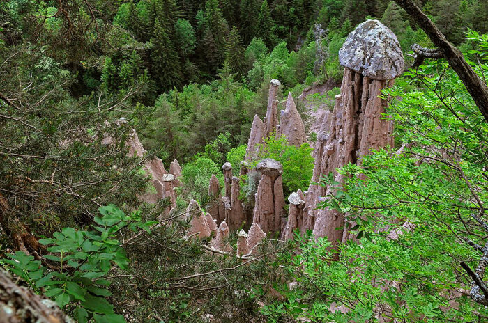Они чем-то похожи на странные гигантские грибы. /Фото: Gregorini Demetrio 