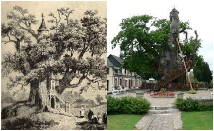 Дерево часовни в Аллувилле: в прошлом и сейчас