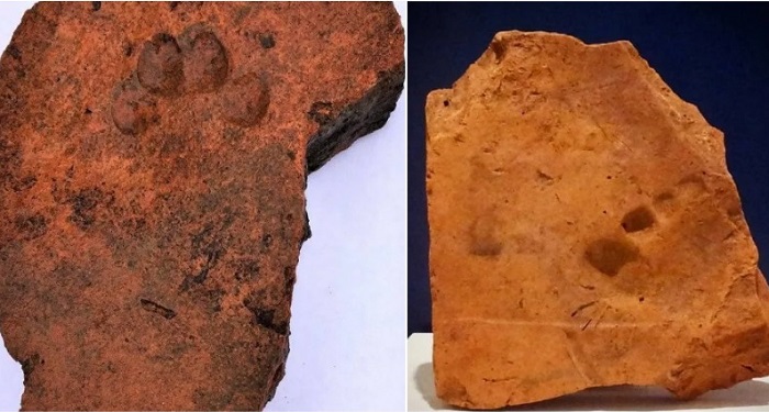 Случайные следы на древних глиняных плитах: справа - отпечаток ноги воина-подростка Римской империи