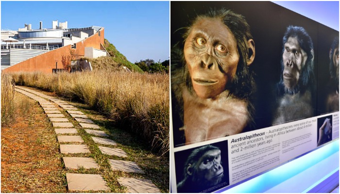 Музей Маропенг - возможность окунуться в далекое прошлое человечества