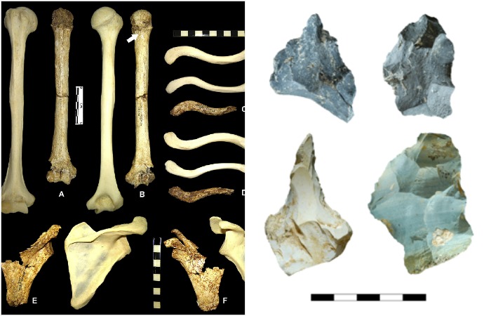 В ходе раскопок на острове Флорес нашли орудия возрастом около 1 миллиона лет.