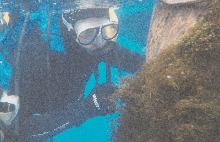Мох, покрывающий бревно, обычно встречается на большой глубине - это тоже одна из загадок. Источник: nsp.gov.org