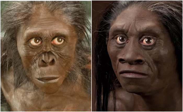 Этих двух женских особей - австралопитека Люси и женщину с Флореса - разделяют, возможно, миллионы лет эволюции. Конечно, они жили совершенно по-разному