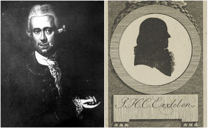 Сыновья Доротеи пошли по стопам матери и стали учеными