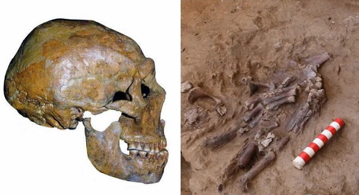 Все выводы о людях из Шанидара сделаны на основании изучения скелетов и того, что найдено рядом