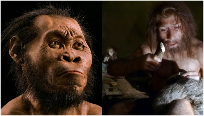 Совсем недавно были обнаружены кости еще одного человеческого вида, homo naledi (слева - реконструкция внешности по найденным останкам); как они повлияли на эволюцию человека, еще только предстоит выяснять