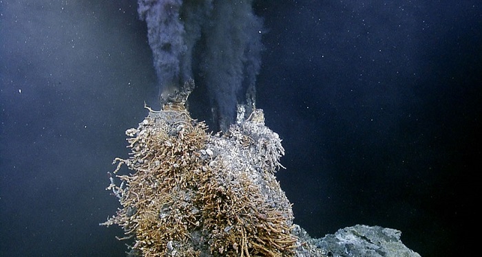 Бактерии безжизненного слоя Черного моря умеют строить карбонатные постройки высотой до нескольких метров. Источник: sciencenews.org