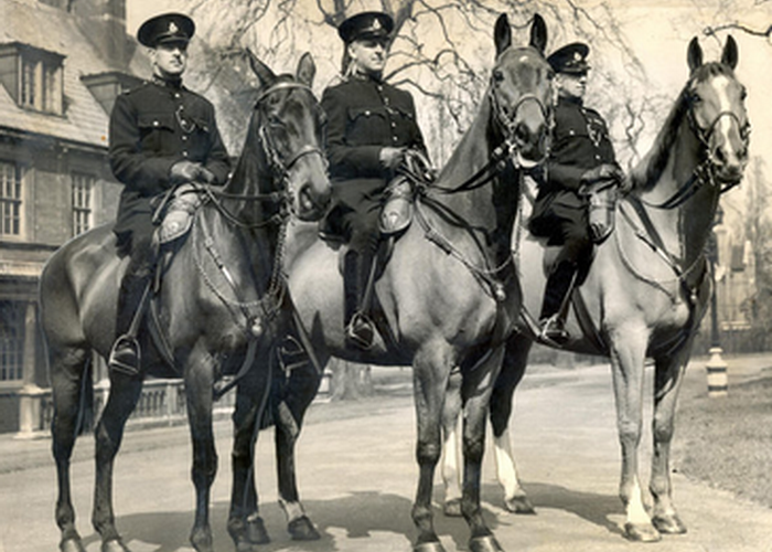 Лошади, награжденные медалью Дикин - Ольга, Апстарт и Регал. Источник: wikipedia.org