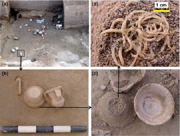 Раскопки археологического участка Лацзя принесли интересные результаты. / Фото: thearchaeologist.org
