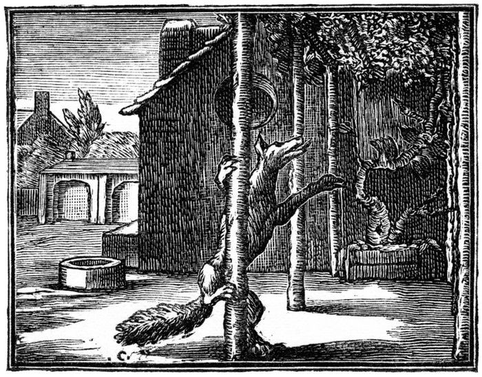 Иллюстрация XVII века к басне Эзопа «Лиса и виноград». Источник: commons.wikimedia.org