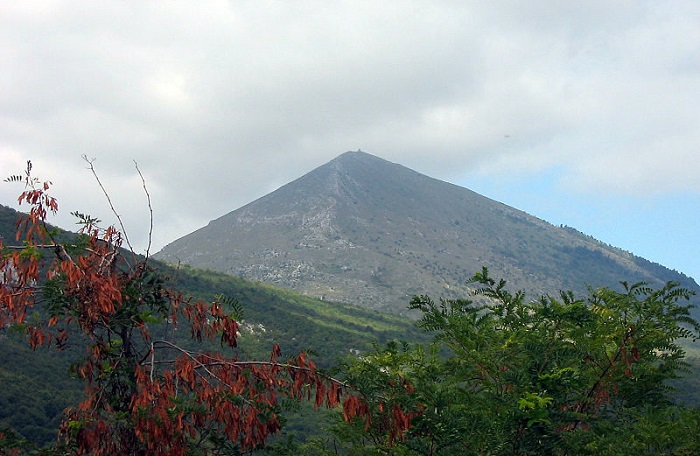 Гора знаменита своими эндемиками и местным чаем. Источник: pinterest.com