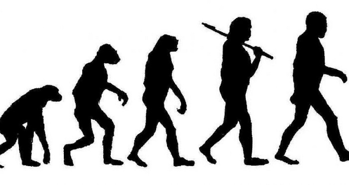 Привычная схема превращения обезьяны в современного человека изрядно устарела: все было гораздо сложнее. Источник: google.com