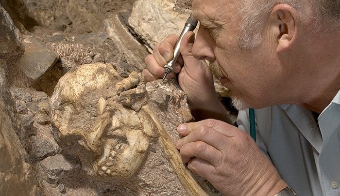 Извлечение скелета «Синдереллы» заняло 15 лет. Источник: google.com