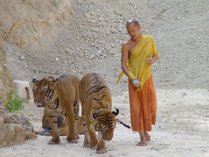 Тигриный монастырь в Таиланде