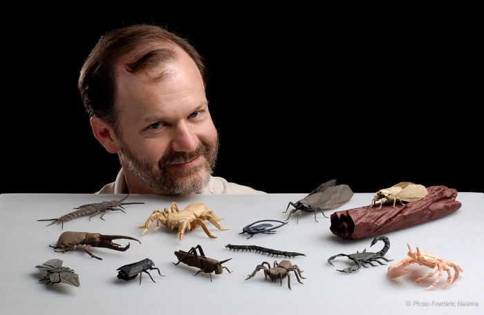 Коллекция бумажных насекомых Роберта Лэнга