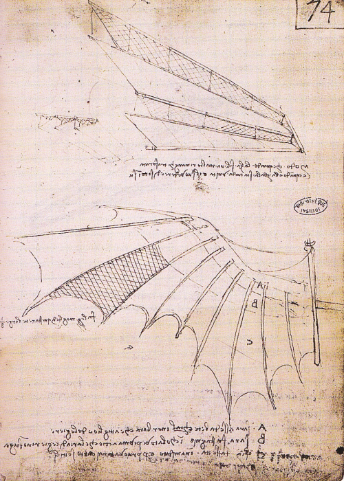 Имитируя крыло птицы с перьями, Леонардо разработал крылья с раздвижными дверцами из сетей, тростника или бумаги, которые открываются при взлете.
