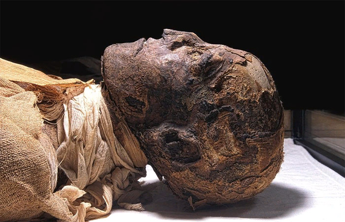 Мумия Рамсеса III 