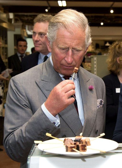 Принц Чарльз. / Фото: www.dailymail.co.uk