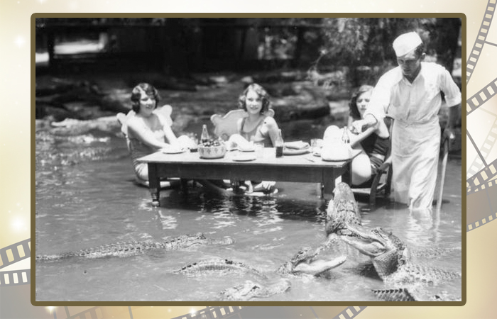 Рядом с крокодилами не было страшно.