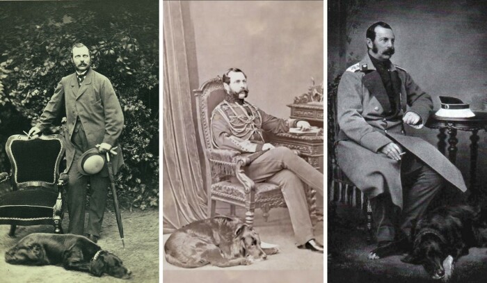 Любимой собакой Александра II был черный сеттер Милорд — его образ остался в десятках картин, фотографий и скульптур