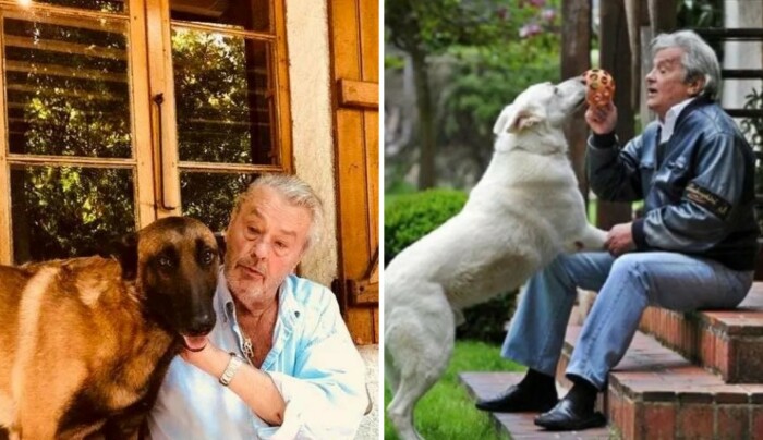 Актер обожает своих собак, они сейчас для него являются главной компанией
