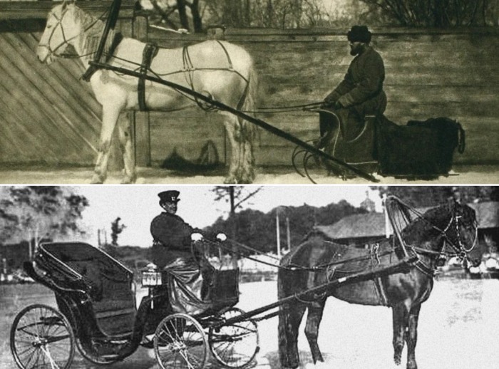 «Лихачи» отличались от «ванек» резвыми лошадьми, комфортными и начищенными экипажами