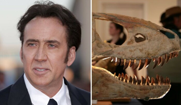 Николас Кейдж славится странными и дорогими приобретениями, например, покупкой черепа динозавра за $276 тыс