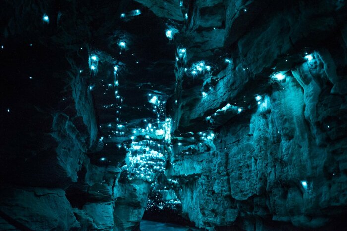 Пещера Марбл-Кэв /Фото:stranabolgariya.ru
