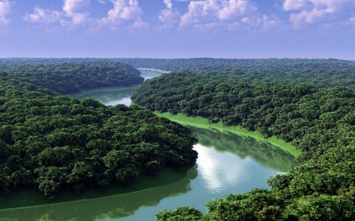Джунгли реки Амазонки притягивают своими красотами и экстримом. / Фото:celes.club