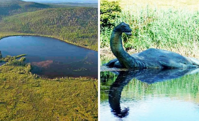 В озере Лабынкыр, водится огромное хищное животное.