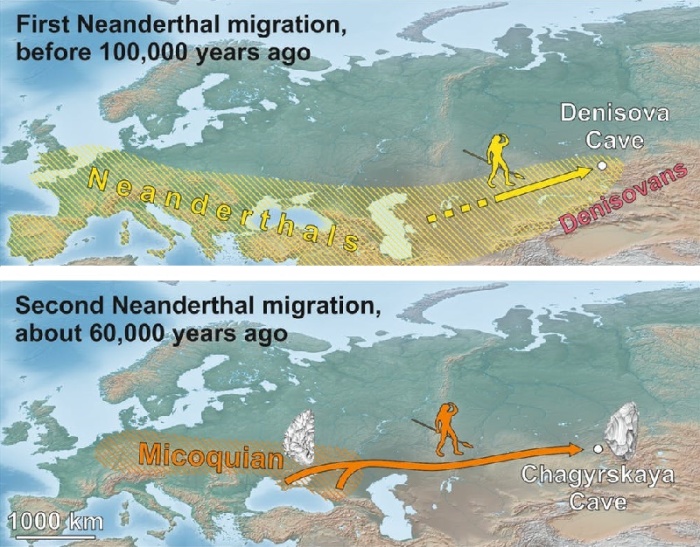 Две волны миграции неандертальцев из Восточной Европы в Сибирь.