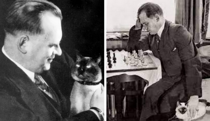 Сиамский кот Чесс был приносил удачу и победы для своего хозяина шахматиста Алехина.