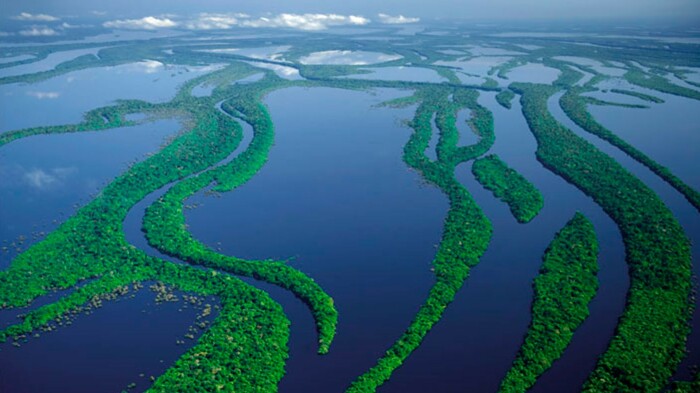 Амазонка и ее бассейн /Фото:fishki.net