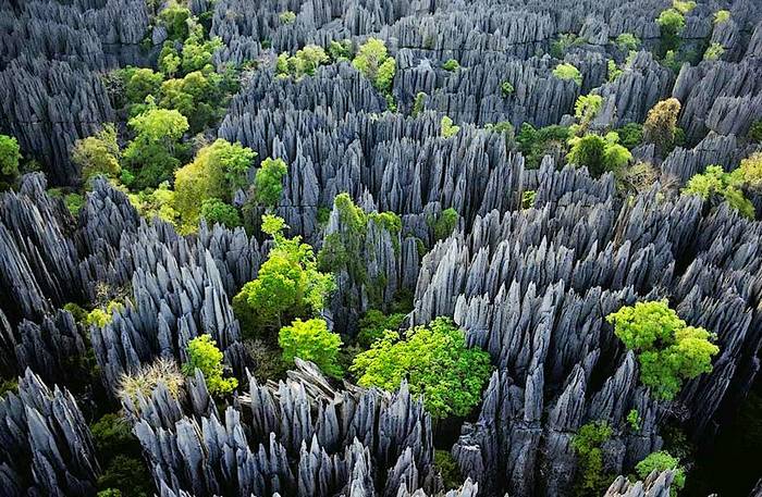 Каменный лес. Фото: https://travelworld.biz
