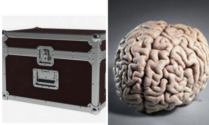 Мозг Кеннеди был помещен в спецконтейнер и забран личным секретарем Роберта Кеннеди Анджелой Новелло.