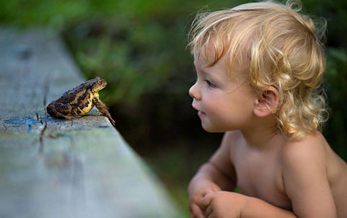 Эксперты утверждают, что в большинстве случаев боязнь лягушек закладывается в детстве. / Фото:www.1zoom.ru