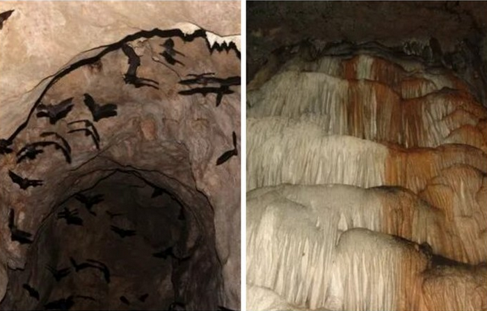 Дети охотились за летучими мышами и случайно обнаружили пещеру Нерха, попав туда через скальную расщелину.