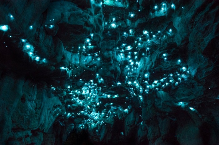 Пещера светлячков Вайтомо /Фото:mapme.club
