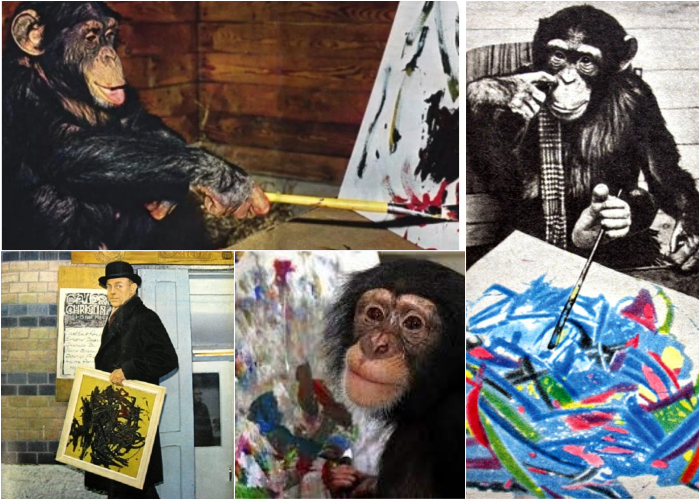 Пьер Брассо, он же шимпанзе Питер, больше всего любил кобальтово-синий цвет.
