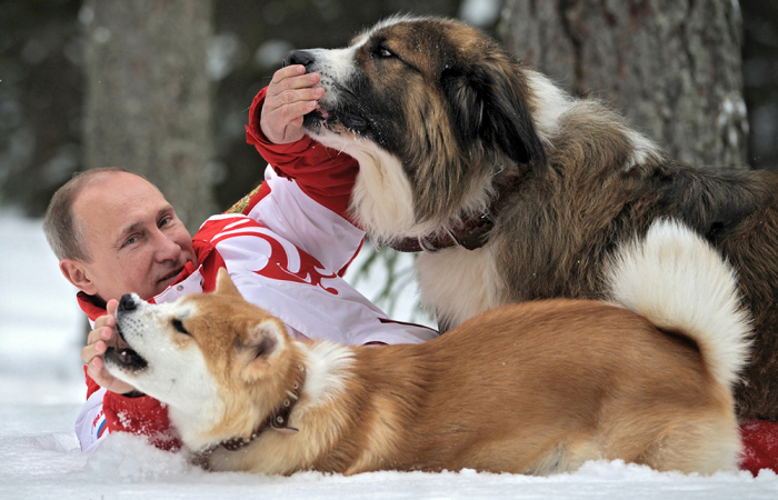 Владимир Путин со своими собаками. / Фото: www.kp.ru
