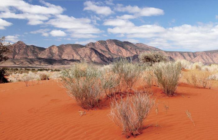 Типичный ландшафт австралийской пустыни. Фото: australiantravelclub.ru