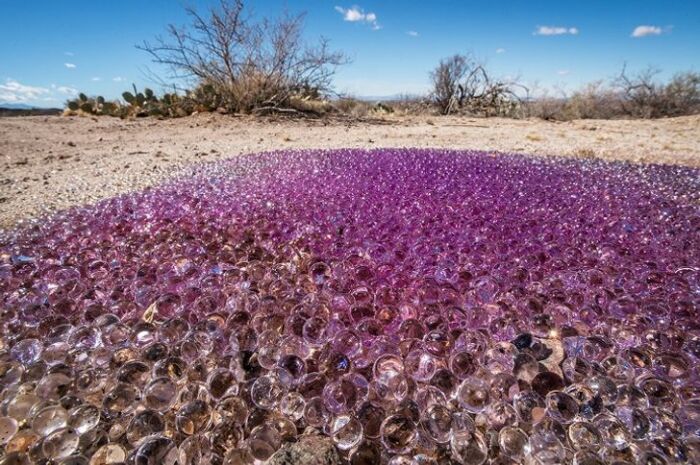 Фиолетовые гелевые шарики в пустыне Аризона. / Фото: thestrangeworld.wordpress.com