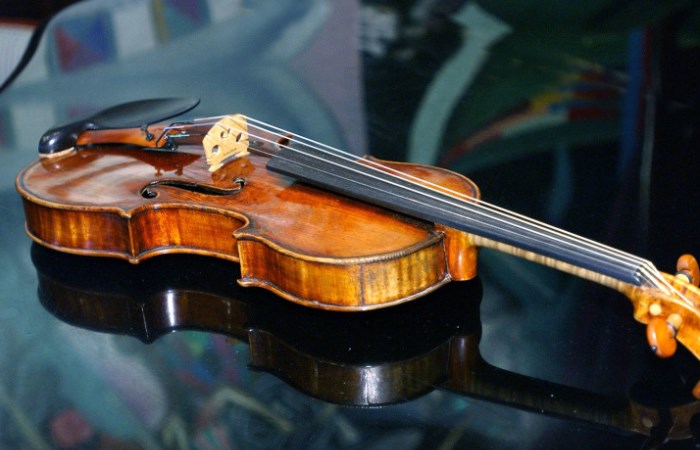Скрипка Кошанский. Фото: mir24.tv