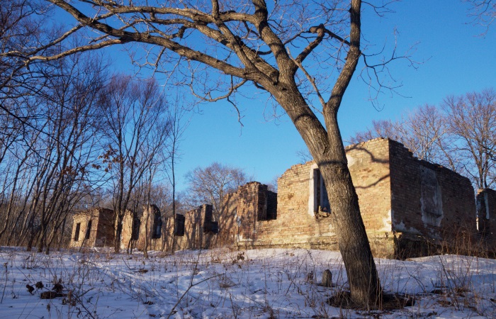 Руины Владивостокской крепости на острове Елены. Фото: birdinflight.com
