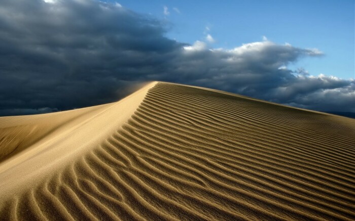 Песчаные дюны /Фото: w-dog.ru