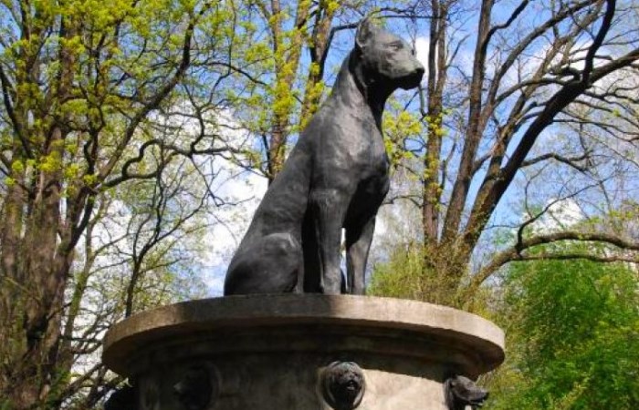Памятник собаке Павлова. Фото: peterburg.guide