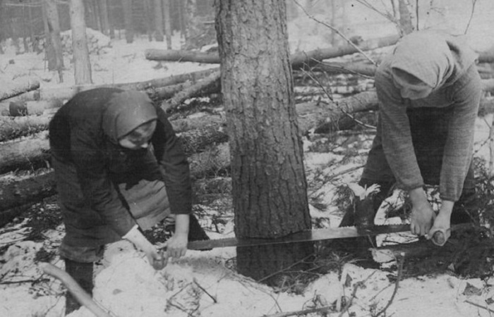 Вот так женщины, девушки и подростки вели заготовку дров. / Фото: sun9-4.userapi.com