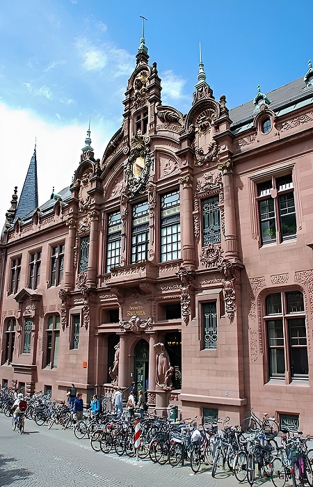 Гейдельбергский университет имени Рупрехта и Карла в наши дни