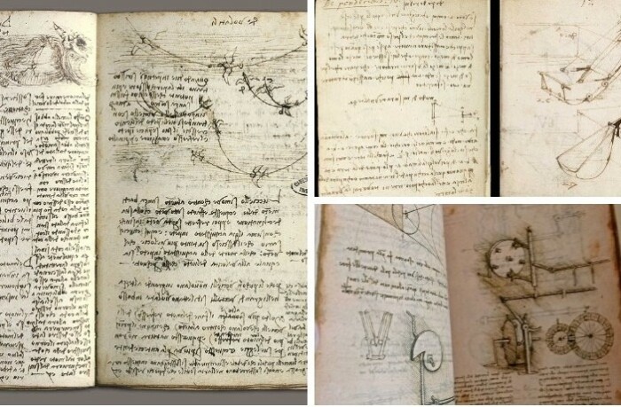 Записи в дневниках Леонардо да Винчи.