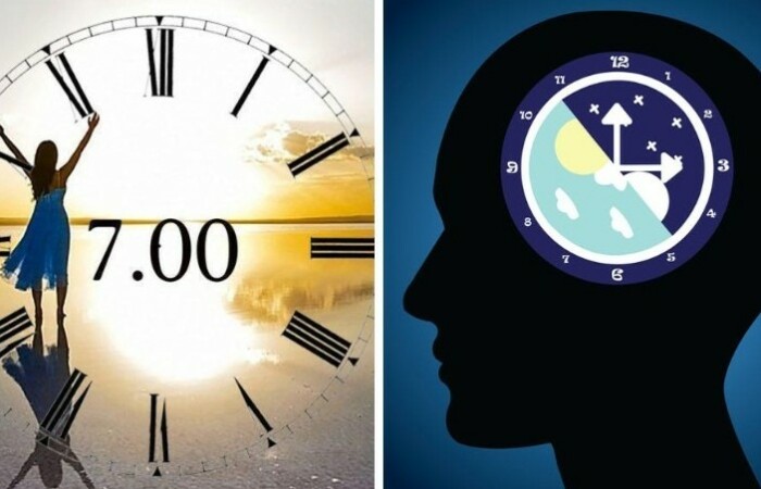 Как люди узнавали время без часов: дедовские методы, продавцы времени, ритм  жизни